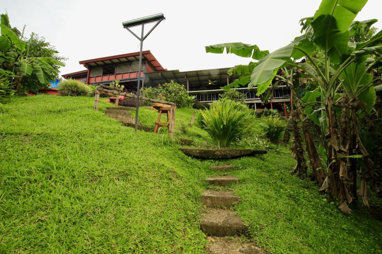 Toucan Lane Hotel And Restaurant นวยโว อาเรนัล ภายนอก รูปภาพ